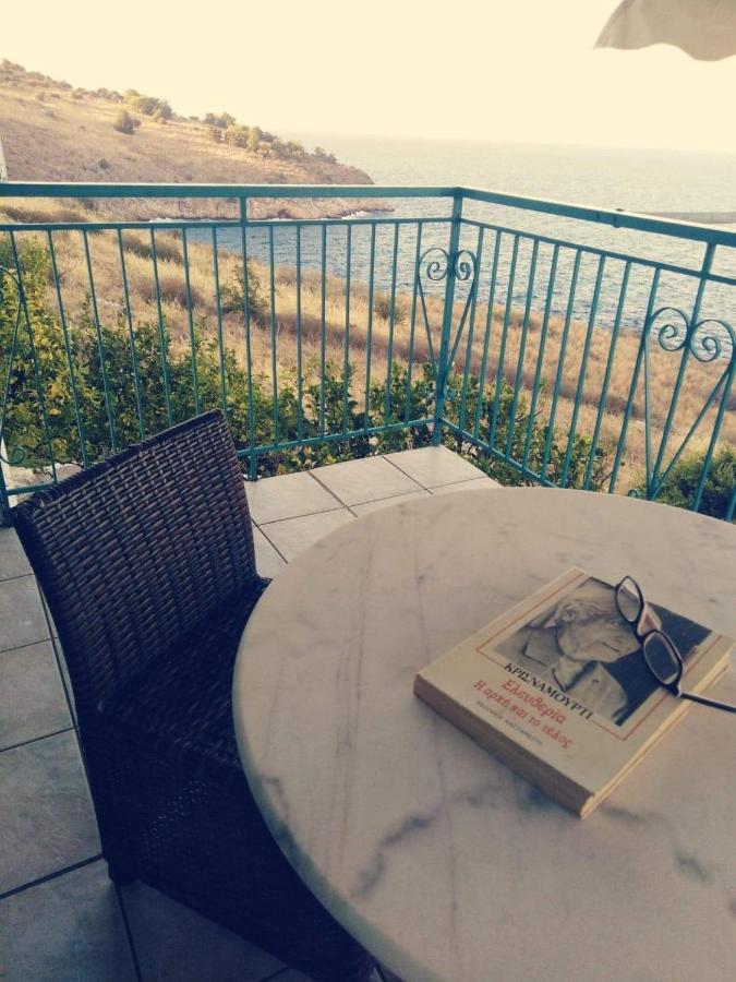Villa Castle Sea View Parálion Ástros Eksteriør billede