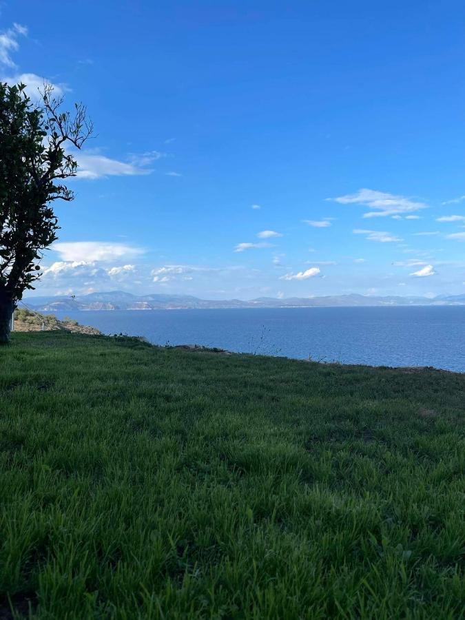 Villa Castle Sea View Parálion Ástros Eksteriør billede