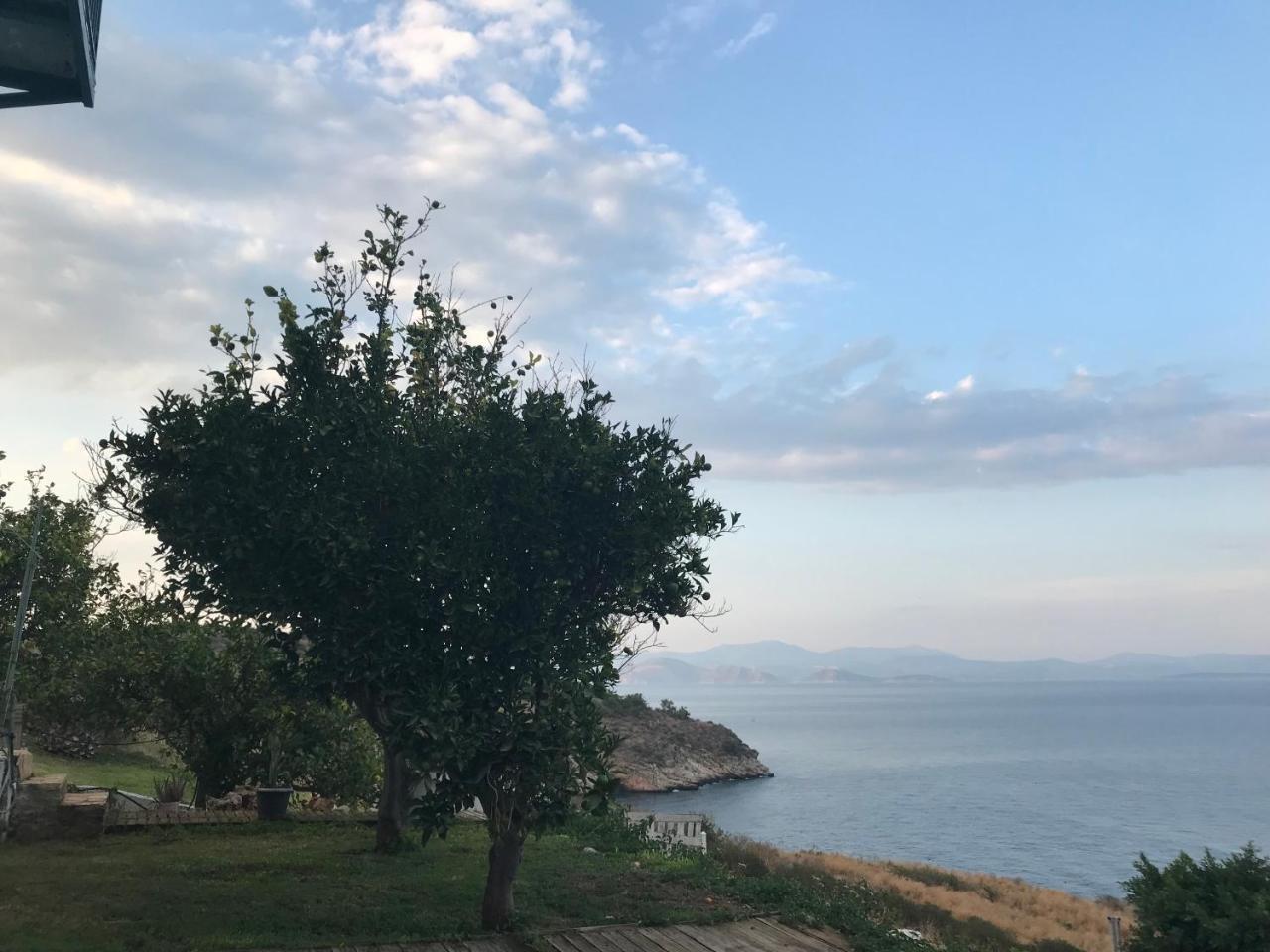 Villa Castle Sea View Parálion Ástros Eksteriør billede
